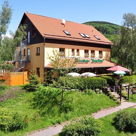 Steakhouse & Pension Crazy Horse Зуль Экстерьер фото
